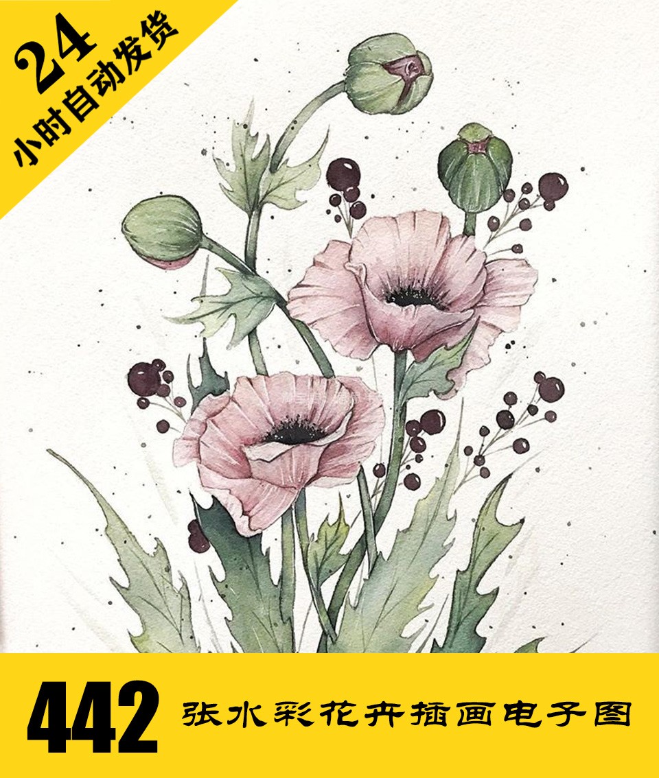 W063 简易水彩花卉插画电子图442张 送133段短视频 持续