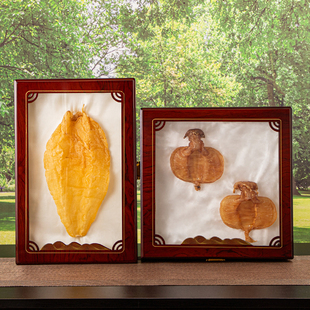 开窗实木鱼胶包装盒鲍鱼灵芝陈皮花野山参通用礼品盒展示盒空盒子