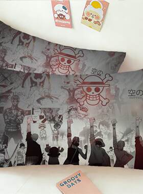 卡通海贼王床上用品儿童枕套40X60路飞索隆单人学生枕头罩子48X74