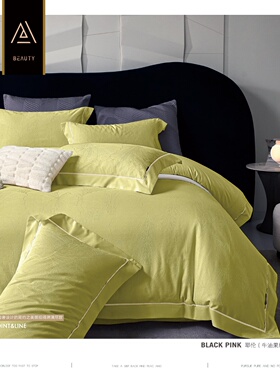 blackpink2025新款轻奢风170澳棉磨毛四件套全棉床单被套床上用品