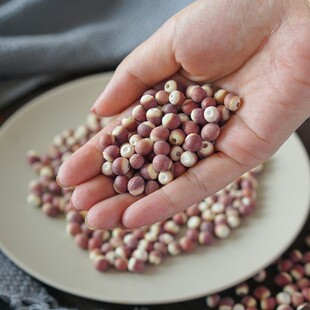 肇庆红芡实干货300g精选大颗粒红皮芡实仁新鲜鸡头米果欠实粉肇实