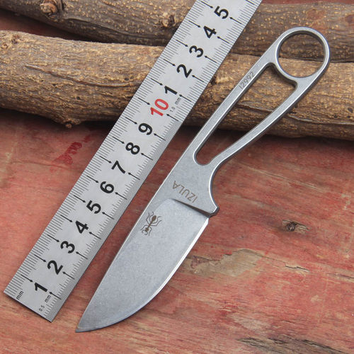 ESEE 蚂蚁户外小直刀D2钢EDC刀 野外求生高硬度水果刀包邮