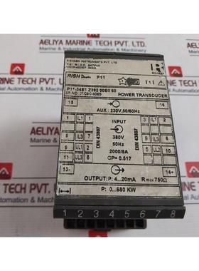 原装供应Rishabh P11-34e1 Z392 00e0 60 功率传感器 230v 50/60h