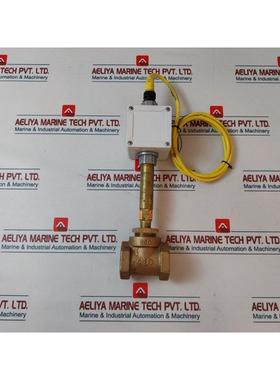 原装供应Flotect V6EPB-BD-4-B-CV-GL Flotect 流量开关 103000A0