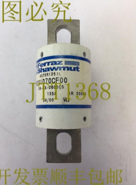 原装供应FERRAZ SHAWMUT A025R125IL 保险丝 250V 125AMP