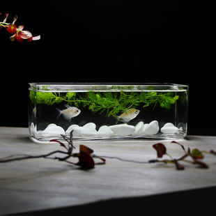 桌面长方形玻璃鱼缸一体缸无接缝加厚高透亮热带鱼缸小型鱼缸家居