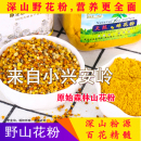 小兴安岭特产天然蜂花粉百花粉杂花粉蜂场直发食用级 野山花粉