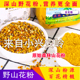 野山花粉 小兴安岭特产天然蜂花粉百花粉杂花粉蜂场直发食用级