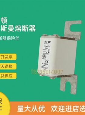全新快速熔断器保险170M2817 170M2818 170M2819 170M2820