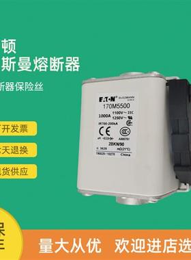 全新快速熔断器保险170M5536 170M5537 170M5538 170M5539