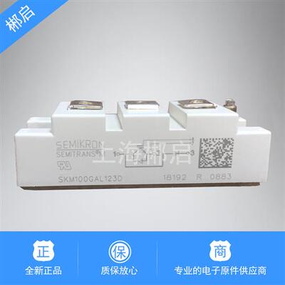 全新原装 SKM100GAL123D/100GAL17E4/100GAR12E4/100GB063D 现货