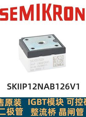 SKIIP13NAB065V1 SKIIP12NAB126V1 SKIIP11NAB126V1和12NAB12T4V1