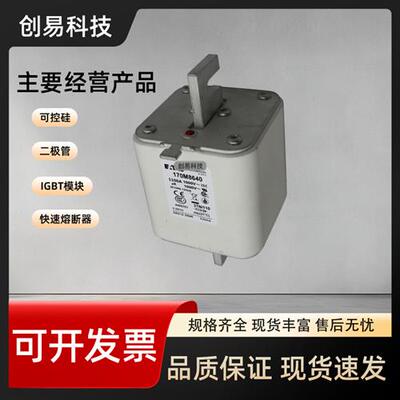 170M8639 170M8640 170M8641 170M8642伊顿BUSSMANN保险丝熔断器