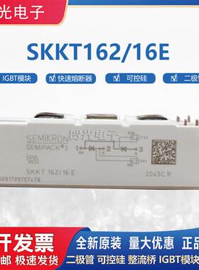 全新原装可控硅模块SKKT162/16E SKKT106/16E  SKKD100/16