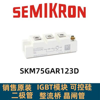 全新IGBT模块SKM75GAR123D SKM100GAR123D SKM145GAR123D现货