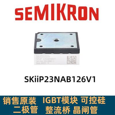 SKIIP24NAB126V10 SKIIP23NAB126V1 SKIIP24NAB12T4V1 SKIIP22NAB
