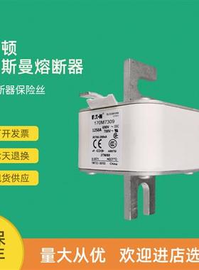 全新快速熔断器保险170M7309 170M7481 170M7488 170M7489