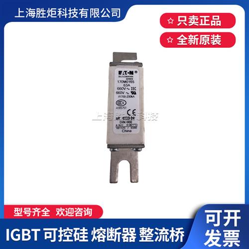 现货熔断器170M0165/1811/1831/2109/2666/3975/4141全新