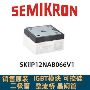 SKIIP13NAB065T1 SKIIP32NAB125T12 30NAB12T49 SKIIP12NAB066V1