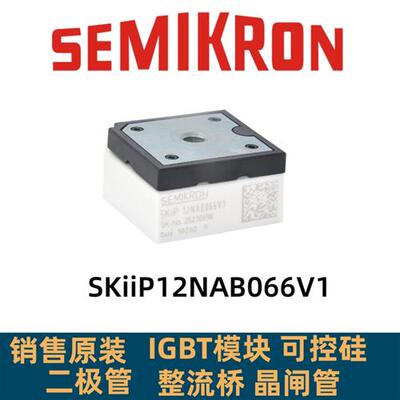 SKIIP13NAB065T1 SKIIP32NAB125T12 30NAB12T49 SKIIP12NAB066V1