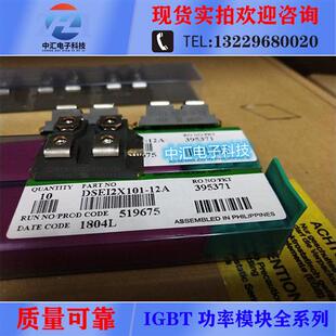 06B DSEI2X101 12B DSEI2X61 06C 12A