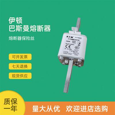 全新快速熔断器保险170M3073 170M3108 170M3109 170M3110