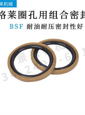 BSF225 230 250 260 270 280 290 300 310 320 330  孔用格莱圈