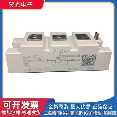 西门康IGBT模块SKM100GAL12T4/SKM100GAL17E4可控硅模块