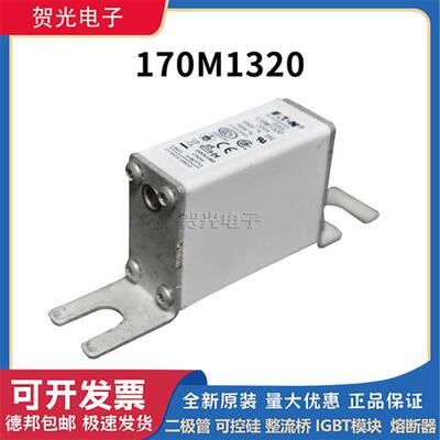 低压熔断器 170M1308/1310/1312/1315/1316/1318/1320/1322