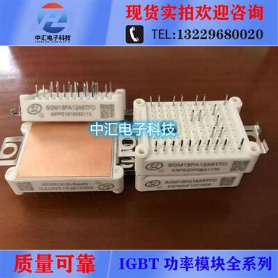 SGM15PA12A5TFD SGM10PA12A5TFD SGM35PA12A8TFD SGM25PA12A8TFD