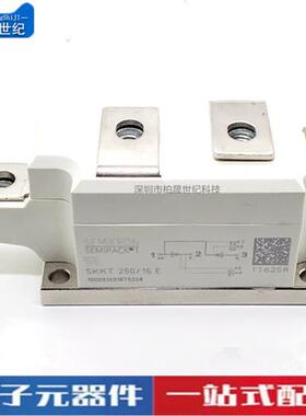 西门康SKKT250/323/273/253/12E/14E/16E/18E功率可控硅模块