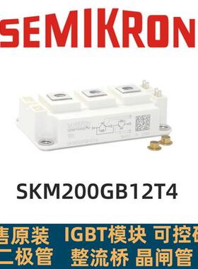 全新原装SKM400GB123D SKM300GB125D SKM150GB128D SKM200GB12T4