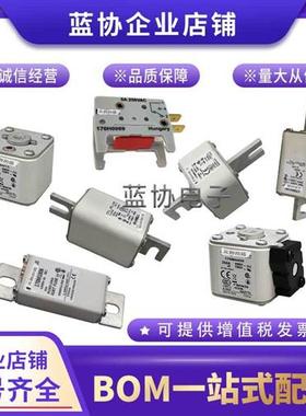 进口保险丝170M5561 170M5562 170M5563 170M5564 170M5565