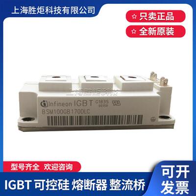 IGBT模块BSM50/75/100/150/200/300GB170DLC FF200/300R17KE3 DN2