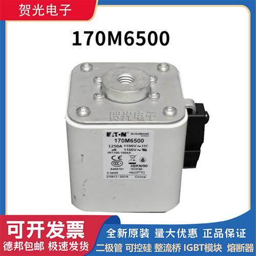 全新原装熔断器170M6497/6498/6499/6500/6501/6644/6645