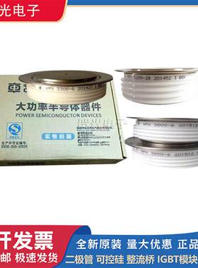 ZP4 2000-32 ZPB 4600-40 ZPA 4600-6二极管模块全新现货