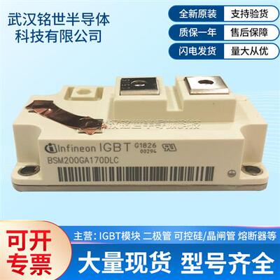 BSM200GA170DLC BSM200GB120DLC BSM300GA 120DN2 BSM300GA120DN2