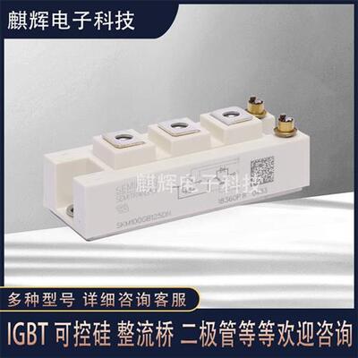 全新功率IGBT模块SKM100GB125DN量多从优欢迎订购