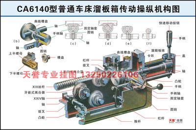 CA6140型普通车床溜板箱传动操纵机构图（车床系列挂图）