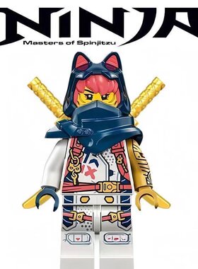 幻影忍者17季神龙崛起索拉阿林劳埃德积木杰妮雅双面印花拼搭人仔