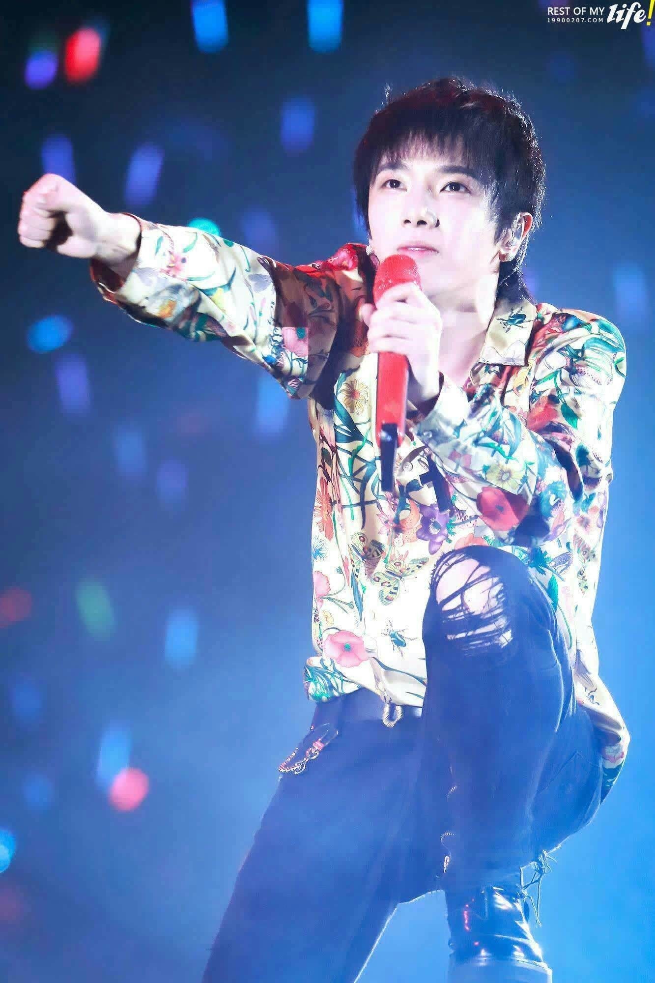 华晨宇天籁之战明星同款衬衫真丝植物花卉印花长袖立翻领男衬衣潮