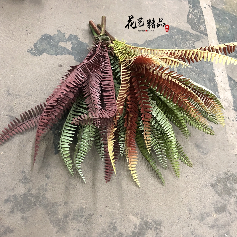 仿真波斯叶珊瑚蕨红蕨类植物秋色红色含羞草排草山芒插花造景灰色
