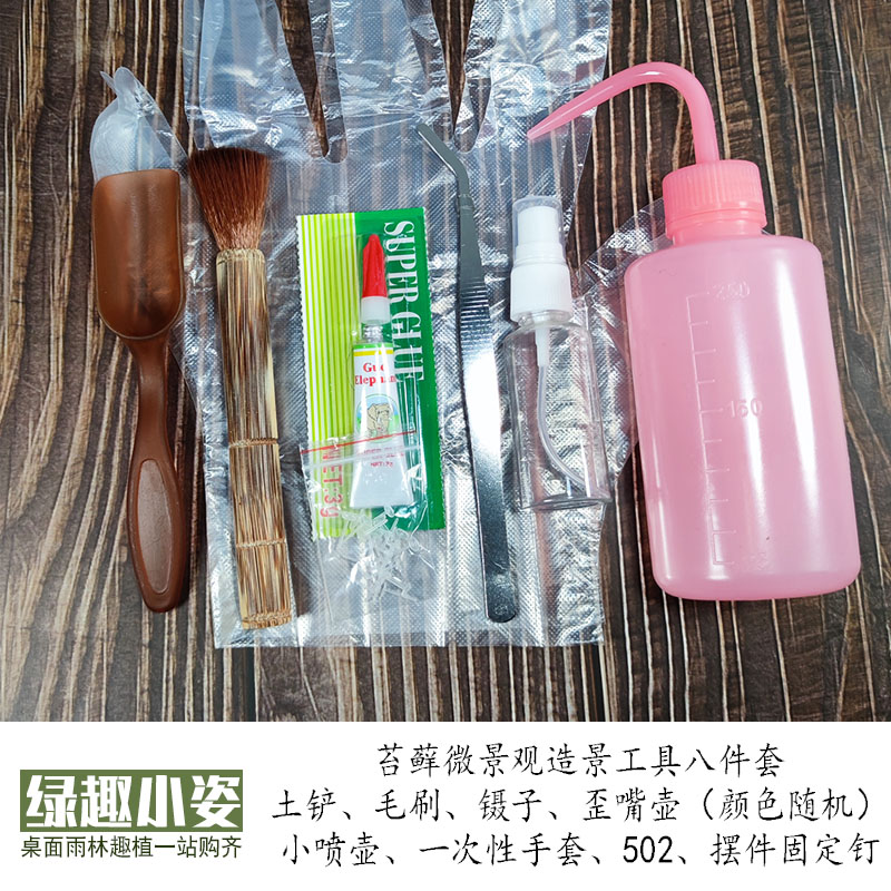 diy造景工具绿植园艺用品 苔藓微景观多肉植物喷壶浇水壶镊子刷子