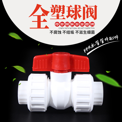 4分6分20PPR全塑双活接球阀PPR阀门双头活接球阀 pp水管管件配件