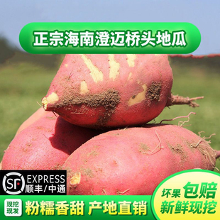 海南澄迈桥头地瓜富硒正宗板栗红薯新鲜番薯黄心沙地薯新鲜5/10斤