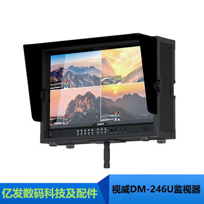 视威DM-246U箱载监视器