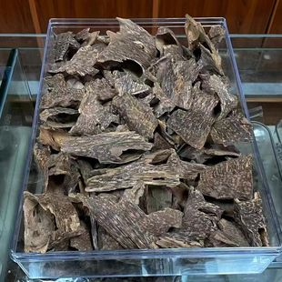 越南芽莊蟲漏殼子老料 通透無腐木 個個都是大塊 精選裝