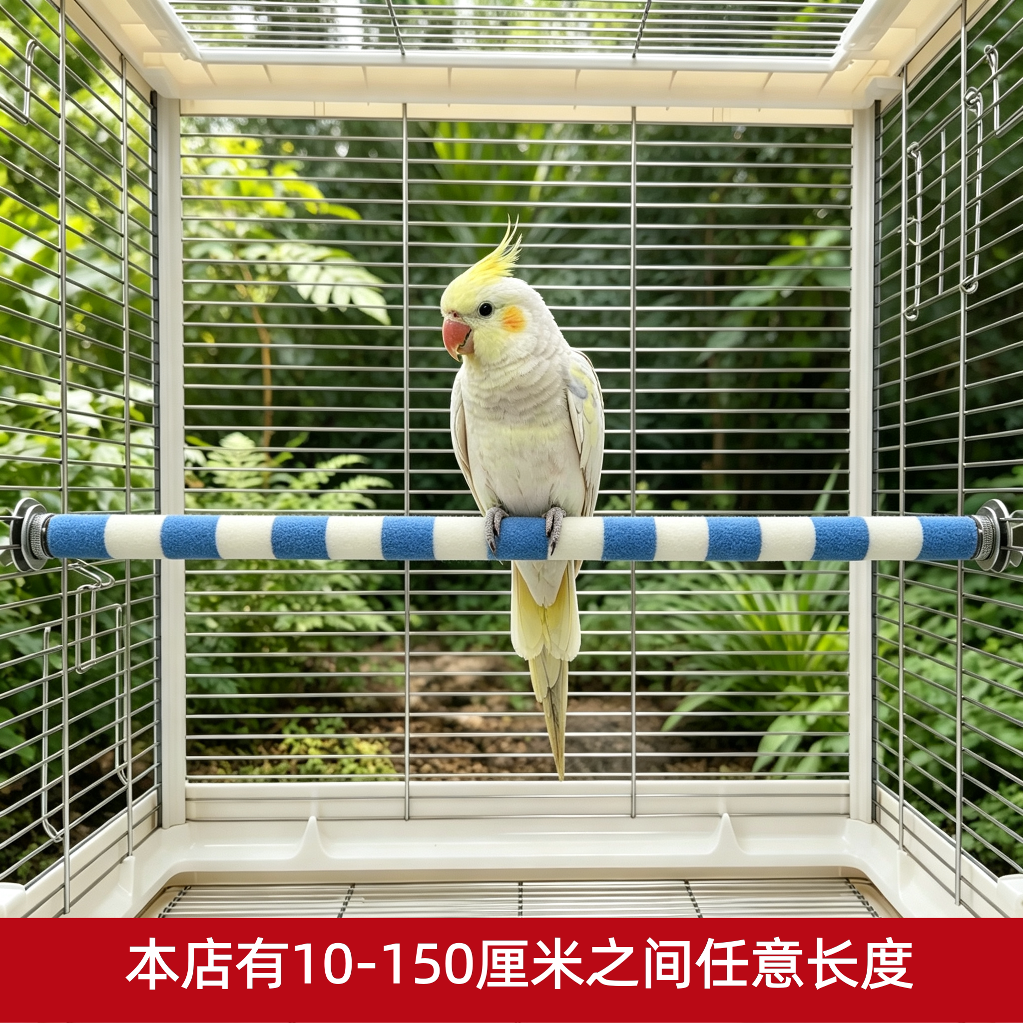 专业定做鹦鹉磨爪棒双头固定站杆图片