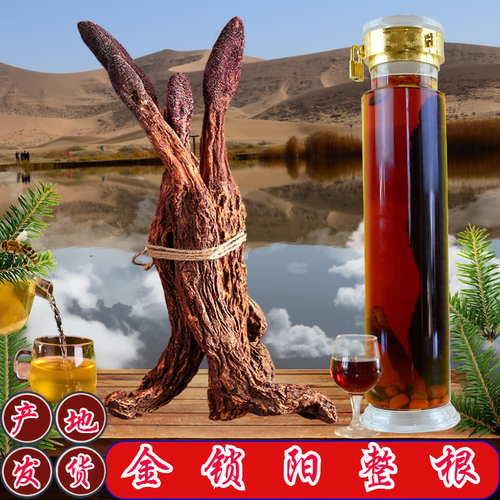 阿拉善金锁阳传统滋补泡酒中药材