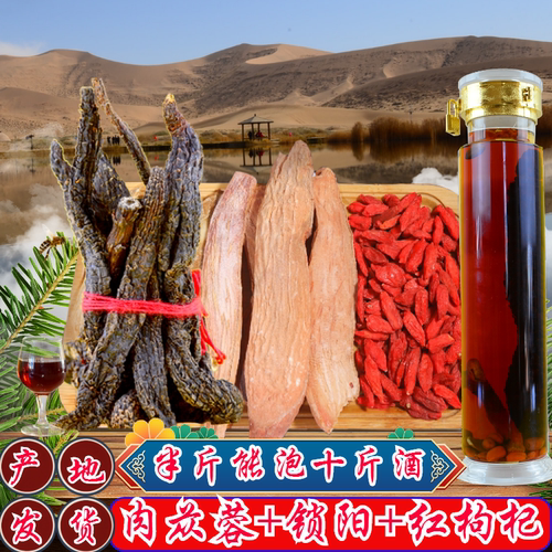 阿拉善苁蓉传统滋补泡酒料中药材